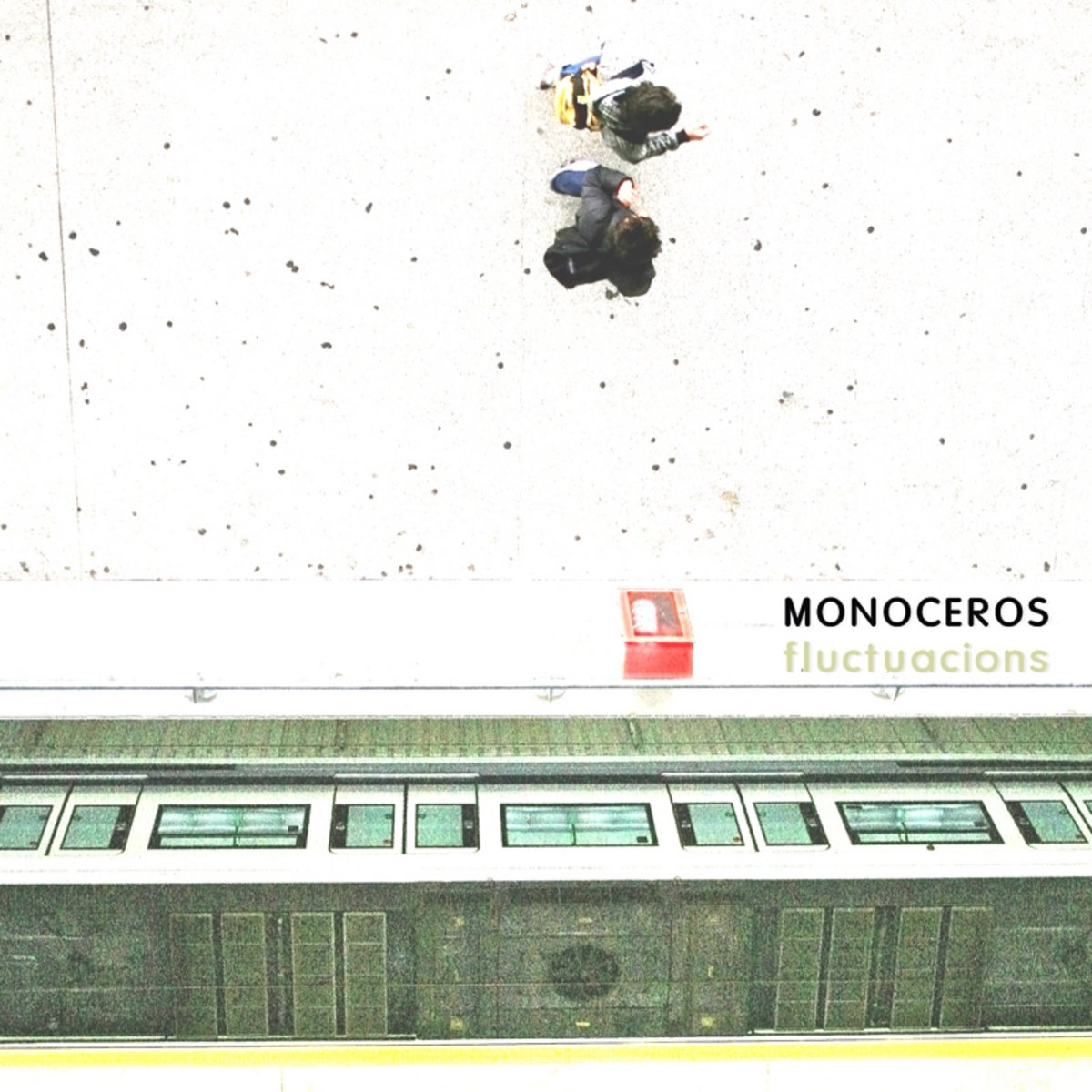 Fluctuacions (Ambient works 2012)