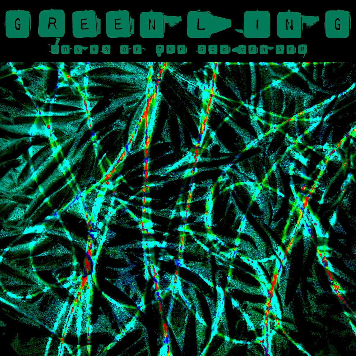 Songs Of The Scavenger