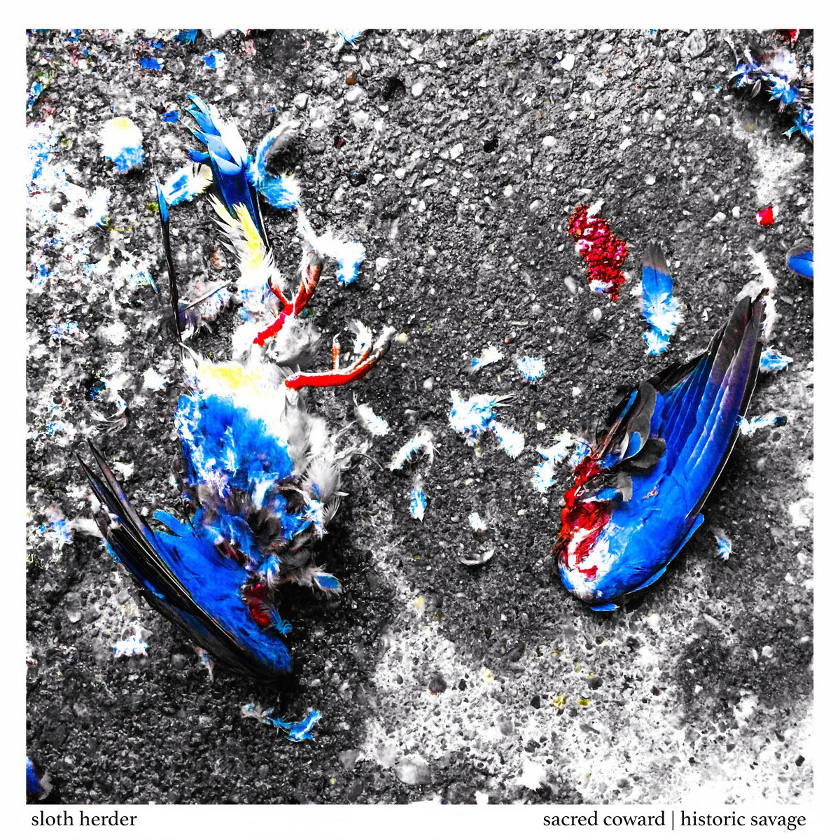 Sacred Coward/Historic Savage