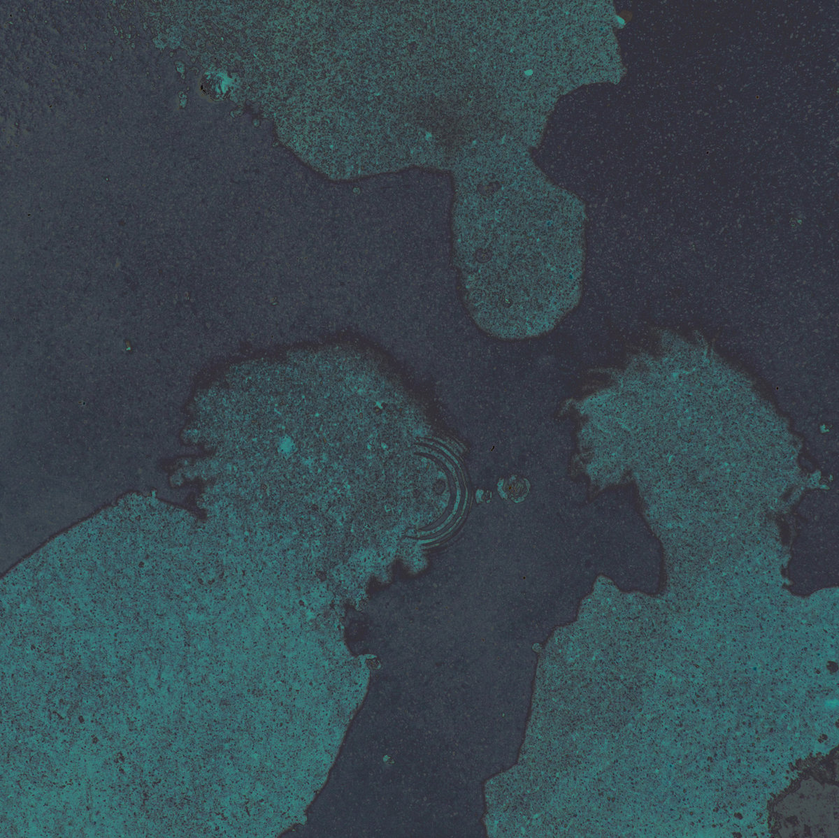 Who Loves You, And Who Do You Love?