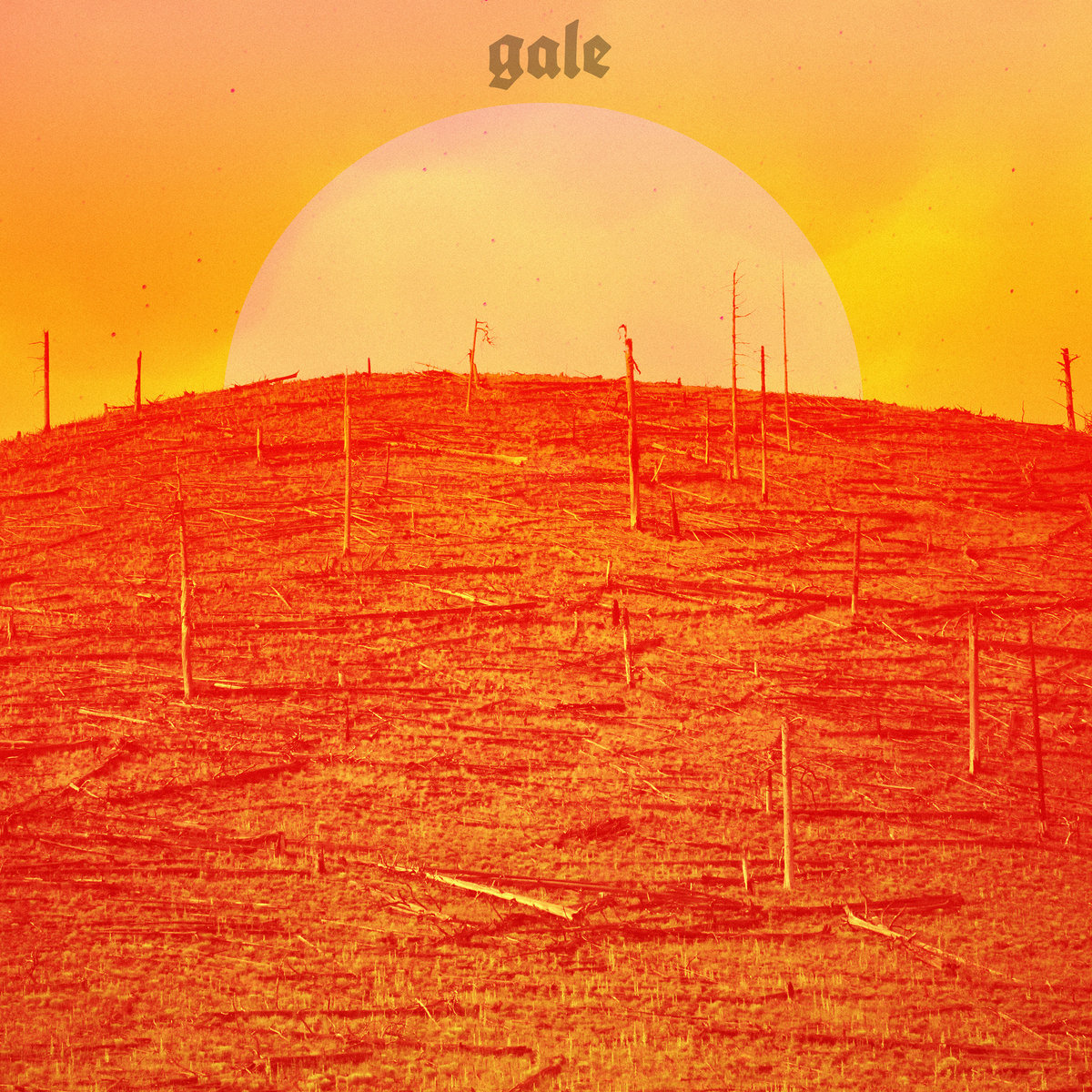 gale