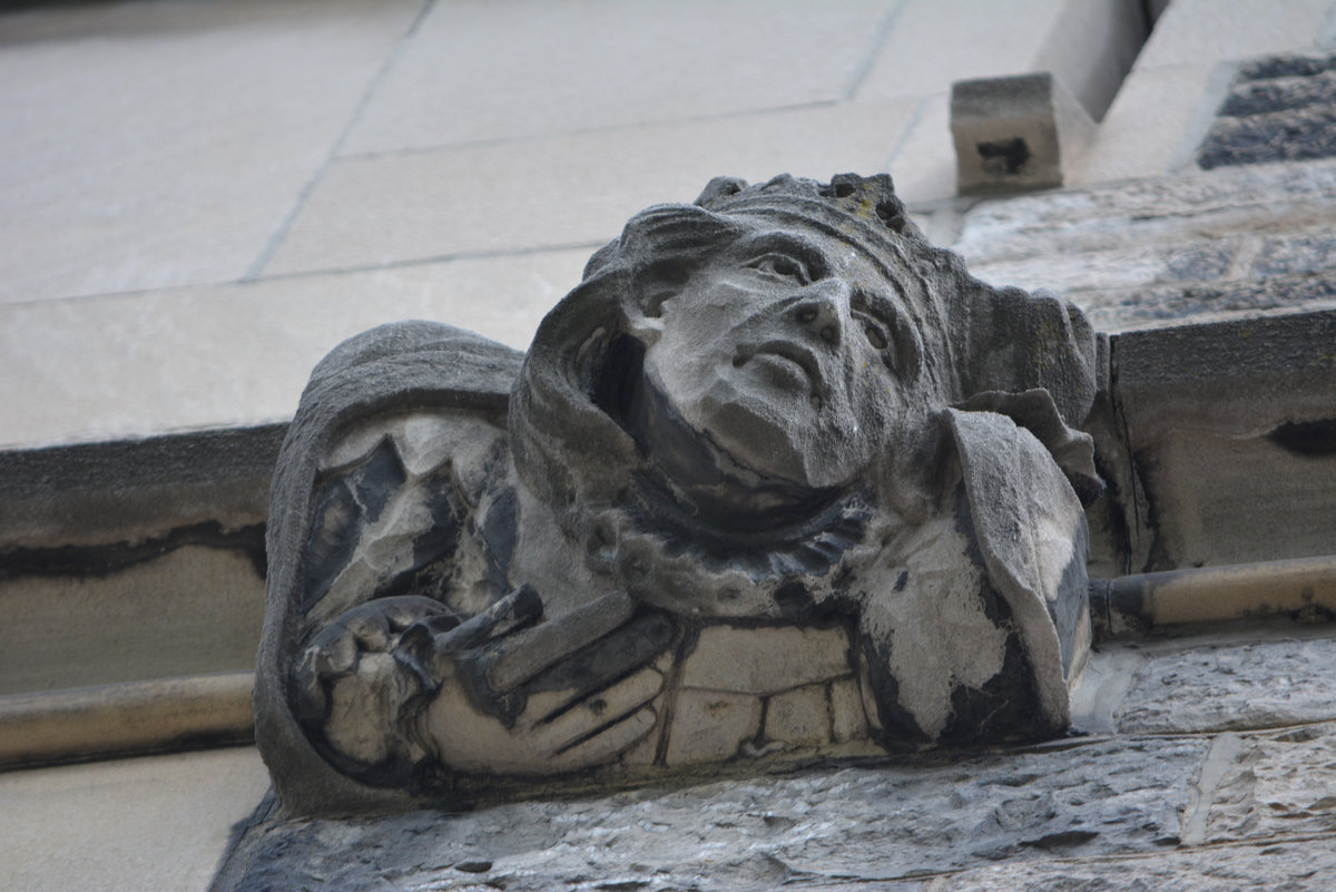 The Frantic Waltz (song)