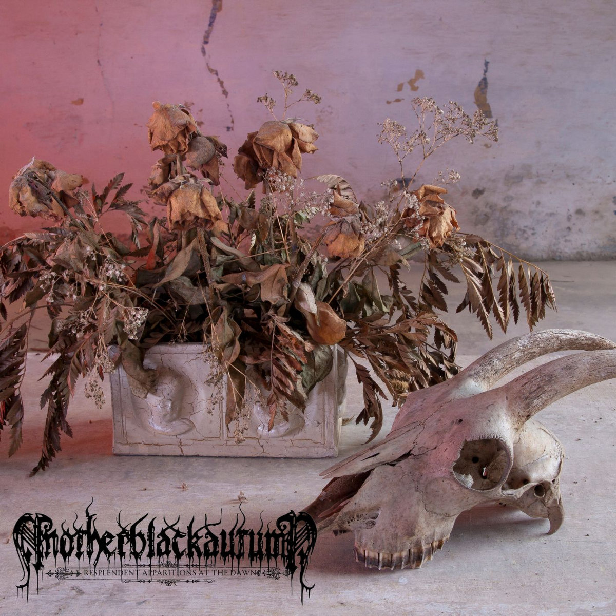 Resplendent Apparitions at the Dawn