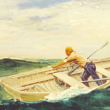 The Excellent White Shark Demos