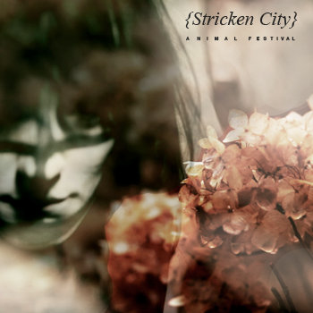 A N I M A L   F E S T I V A L