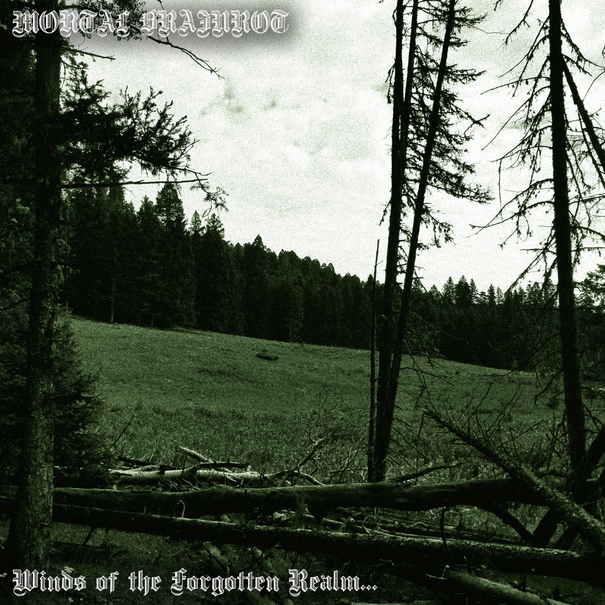 Winds of the Forgotten Realm...