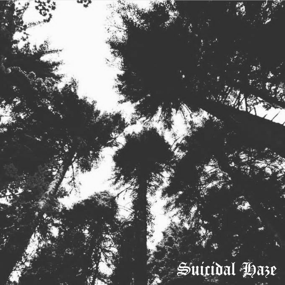 Suicidal Haze