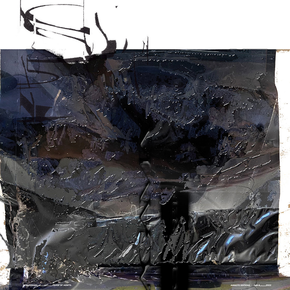 HgB-8: Intellagama - Proof of Assets