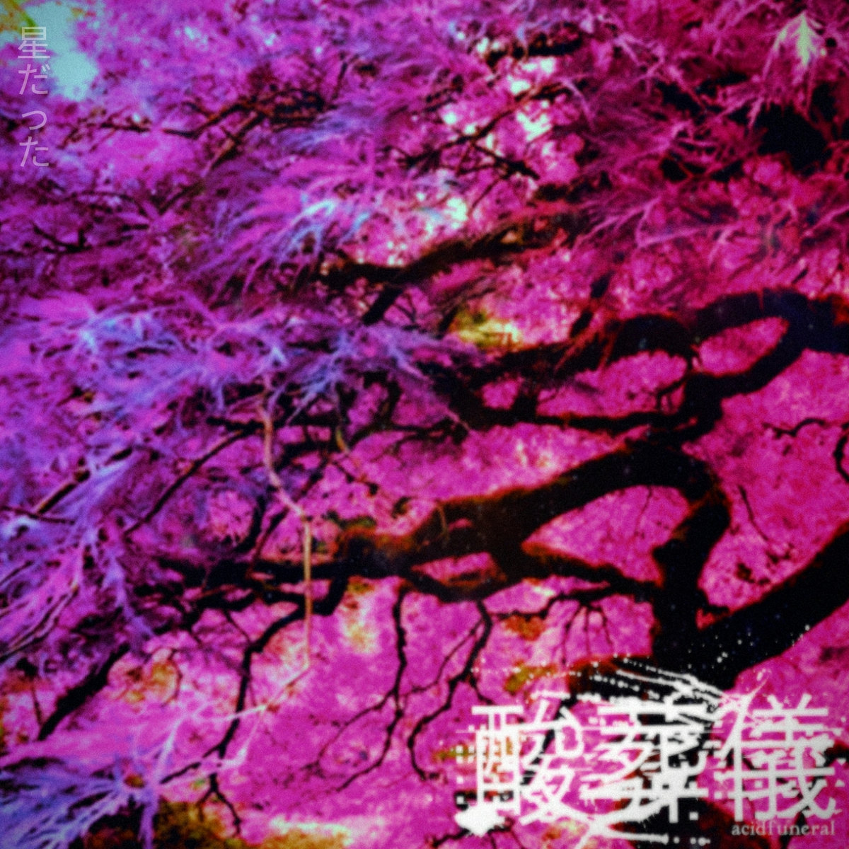 星だった you were the stars