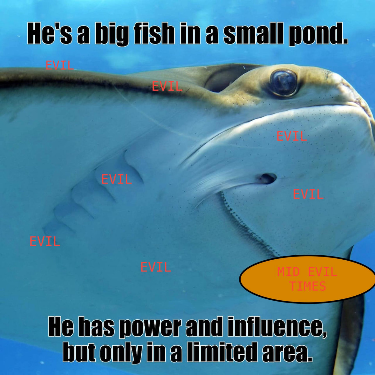 Real Big Fish