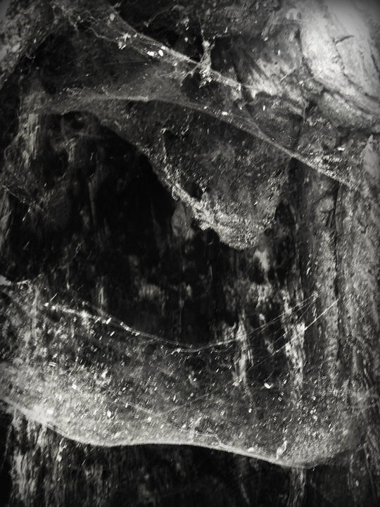 Novit enim Dominus qui sunt eius