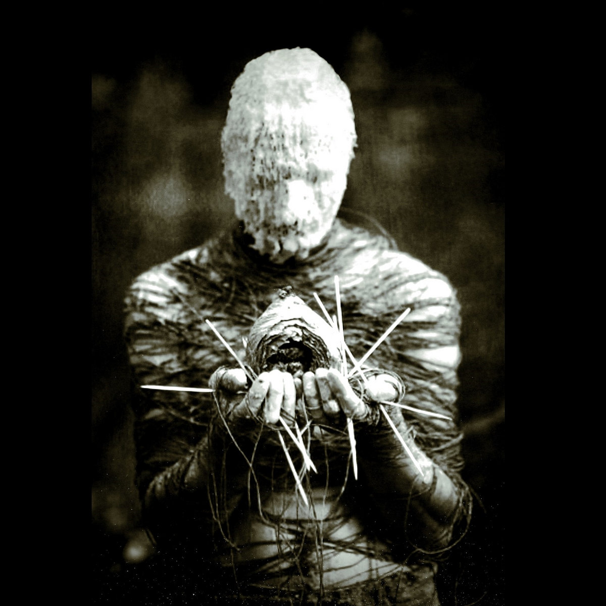 Pierce All Visions To See the Void