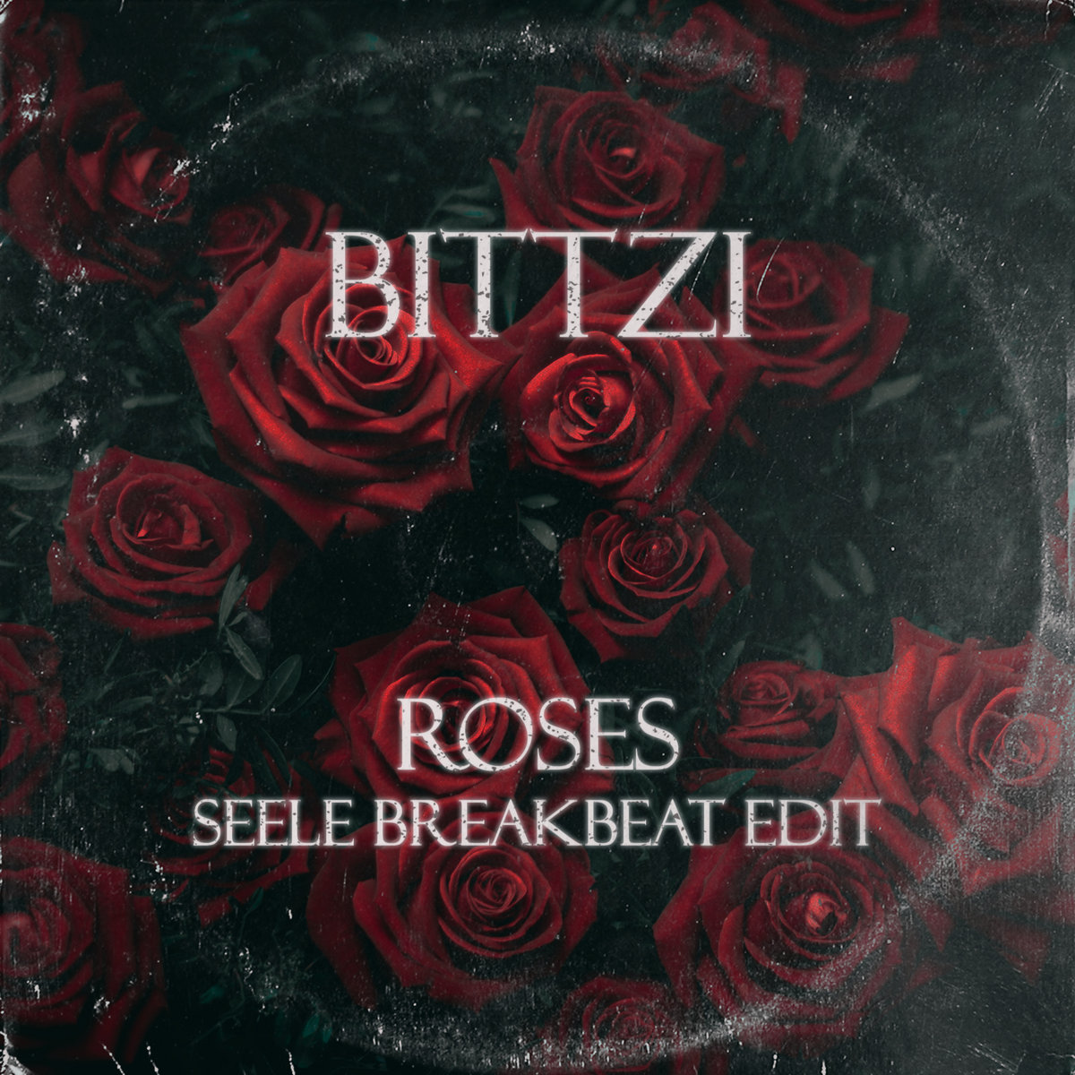 BITTZI - Roses (Seele Breakbeat Edit)