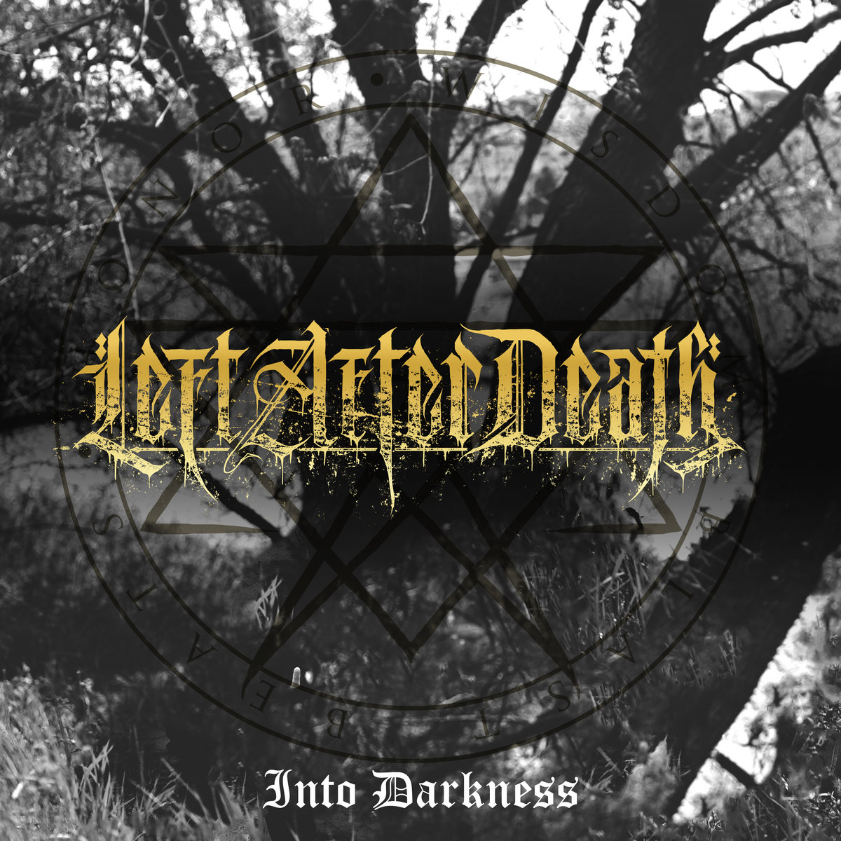 Into Darkness