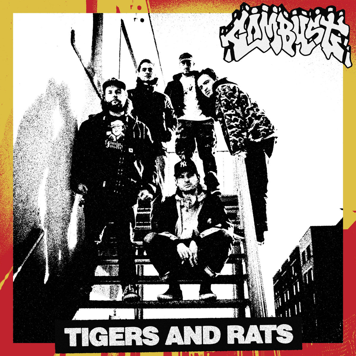 Tigers and Rats