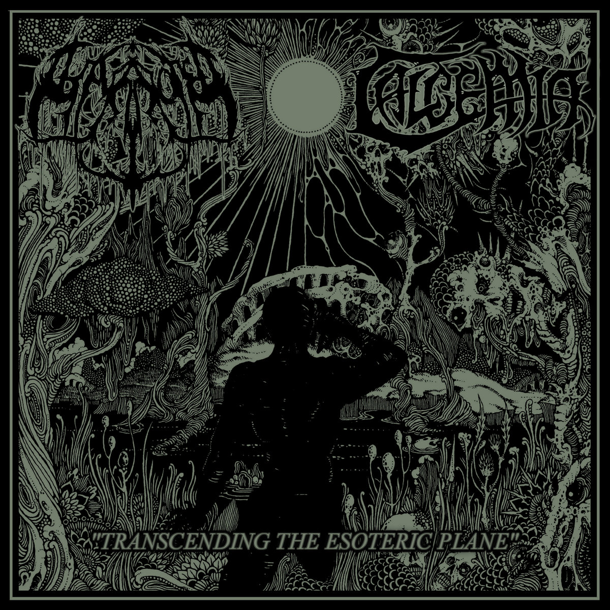 Transcending The Esoteric Plane