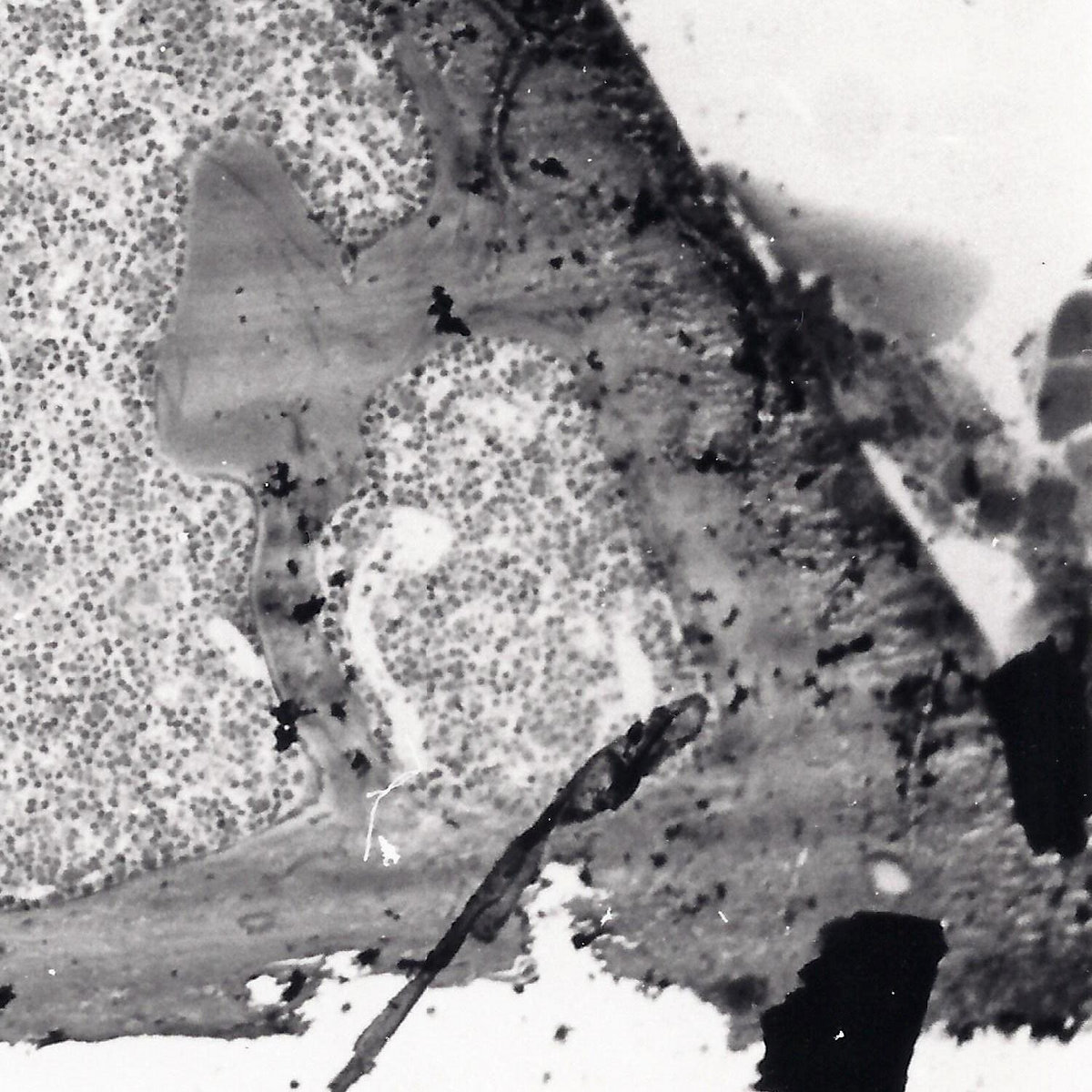 Fragmented Structures EP