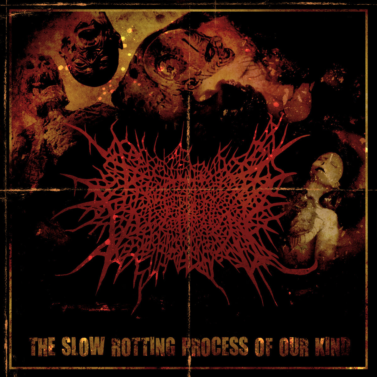 The Slow Rotting Process Of Our Kind