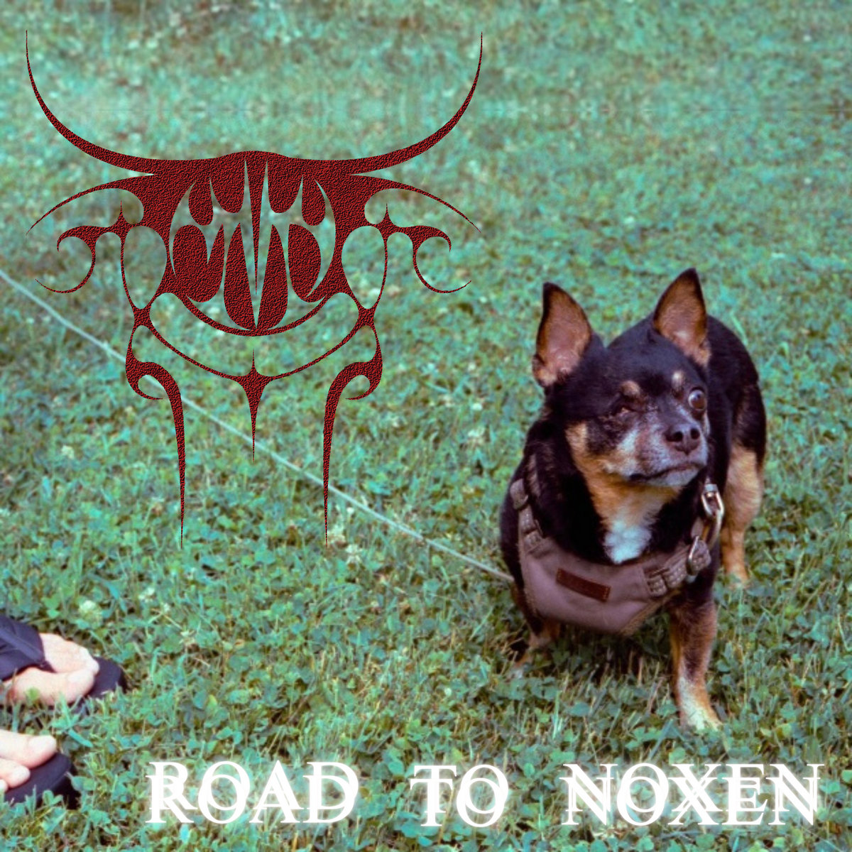 Road To Noxen (Live)