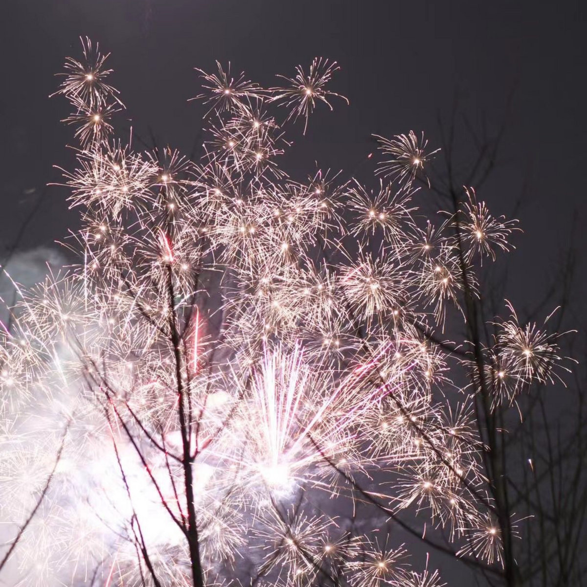 Suspend (ft. Azelsgöattii)