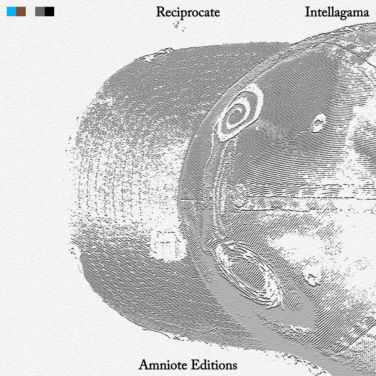 HbF-9: Intellagama - Reciprocate
