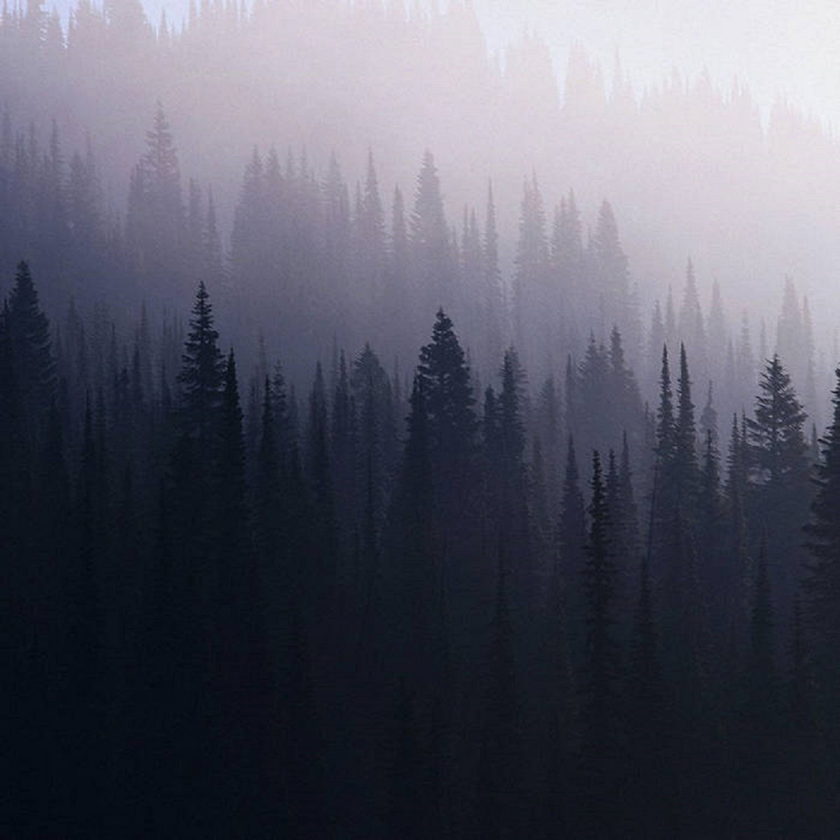 Of Fog and Fire e.p.