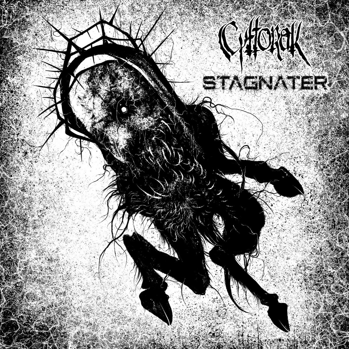 Split with Stagnater