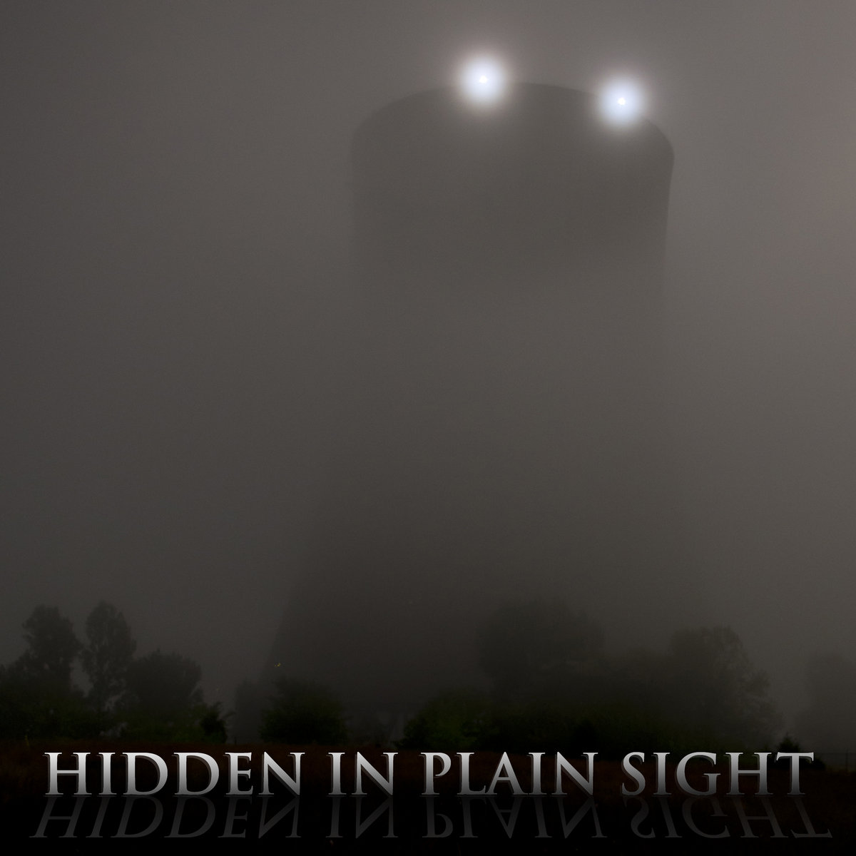 Hidden In Plain Sight