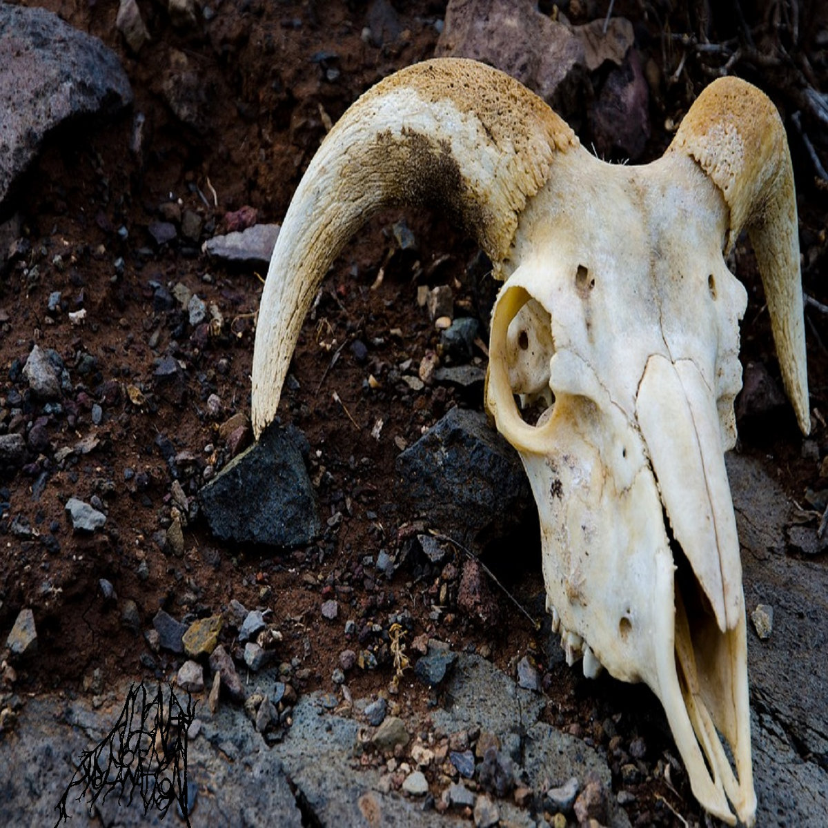 Now I Speak to Destroy the Altar