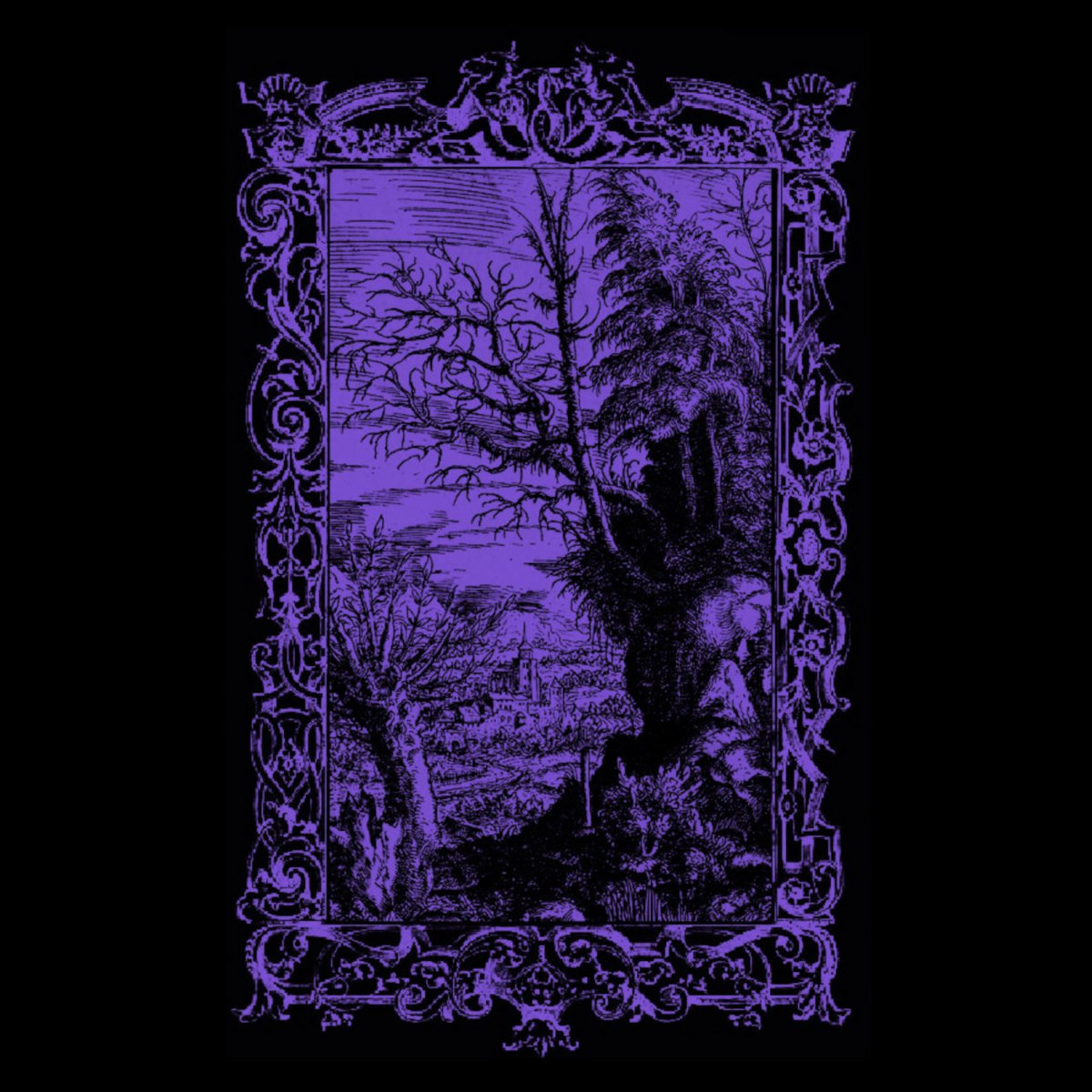 Split with Pseudotsuga