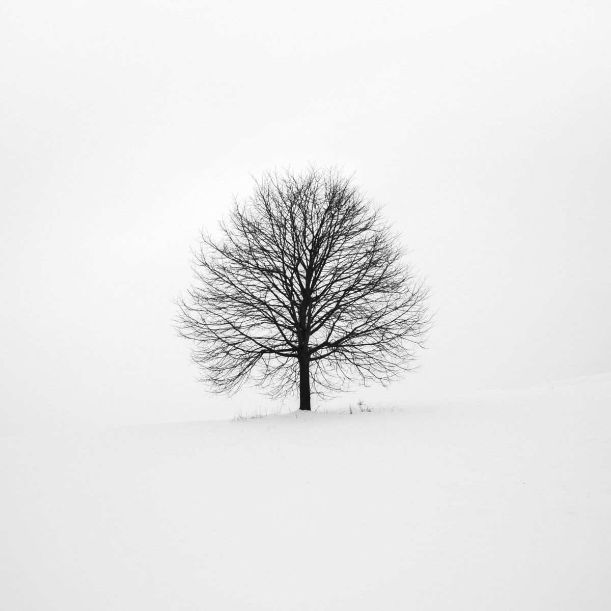 Where Have You Been?