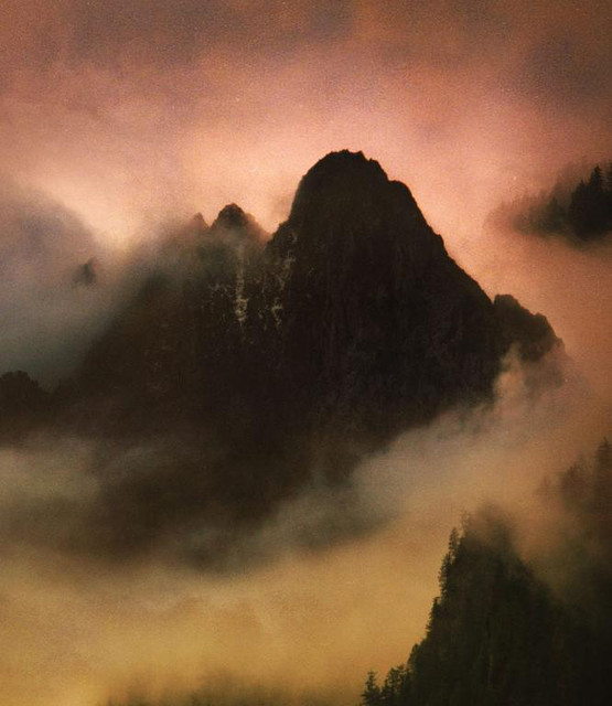 Dead to a Dying World