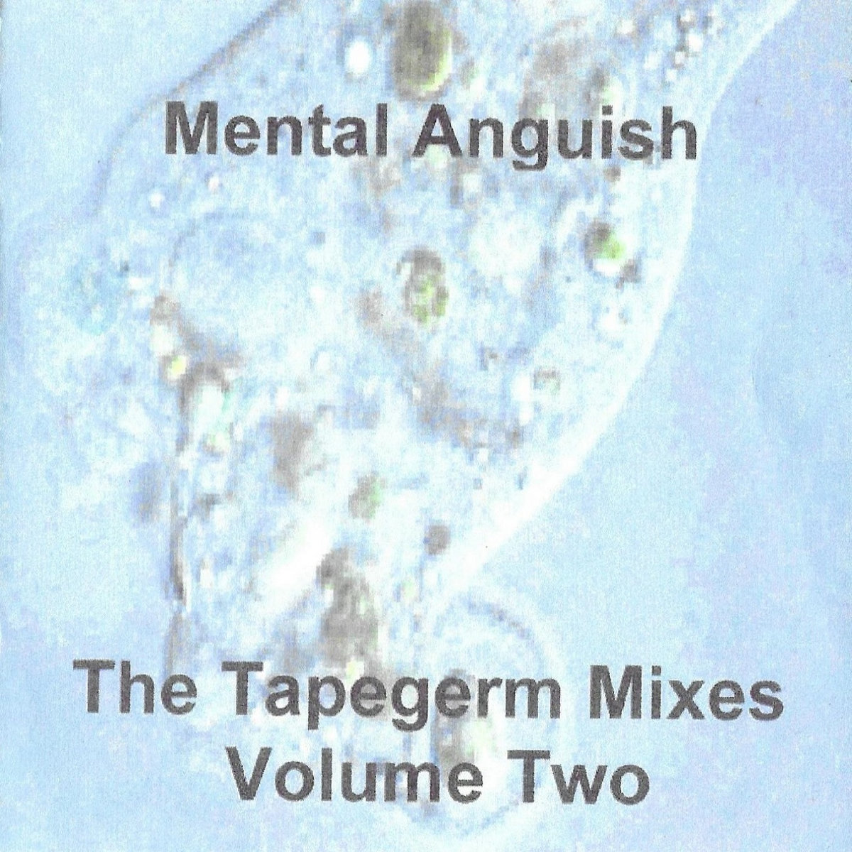 The Tapegerm Mixes Volume 2