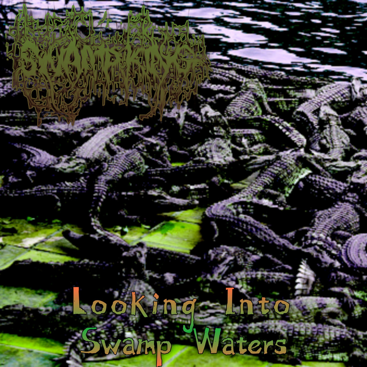 Looking Into Swamp Waters