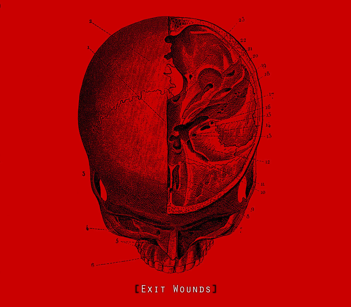 [Exit Wounds]
