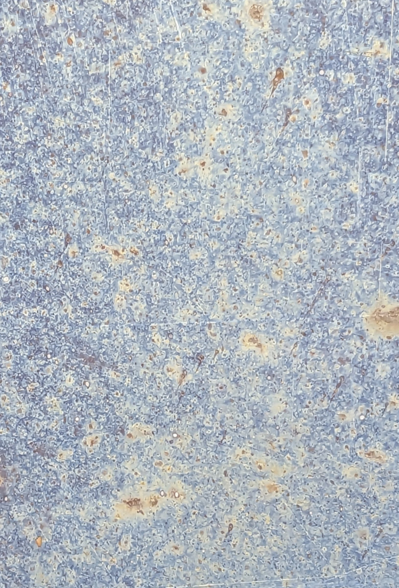 Loveletters (Abridged)