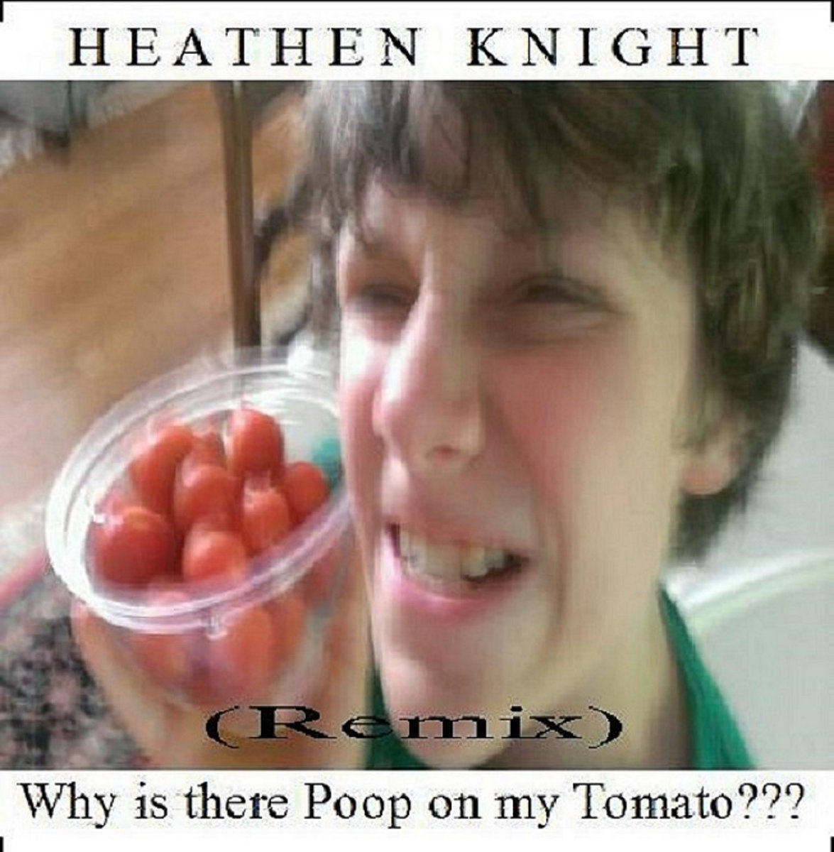 Why Is There Poop On My Tomato (Remix) (Single)