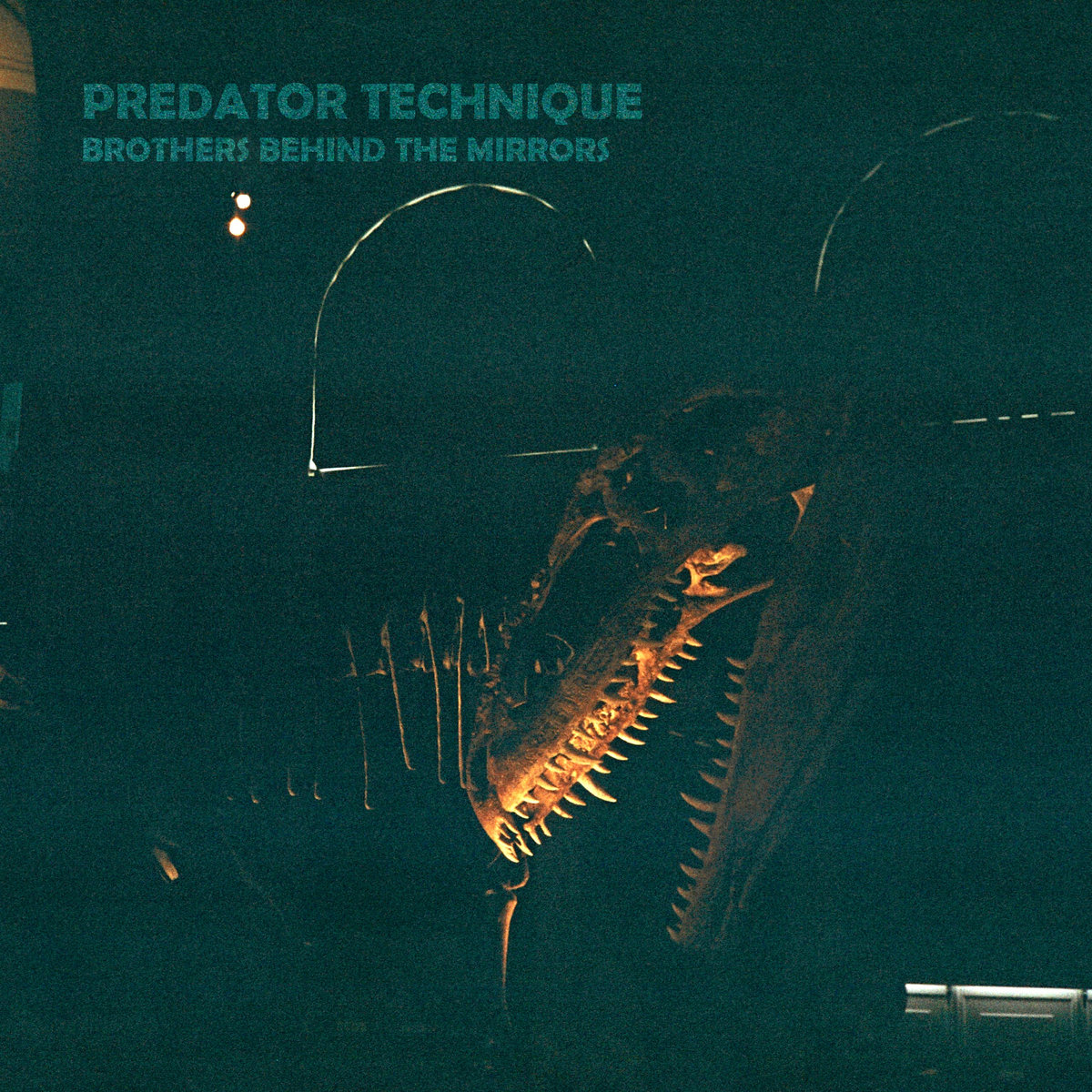 Brothers Behind the Mirrors