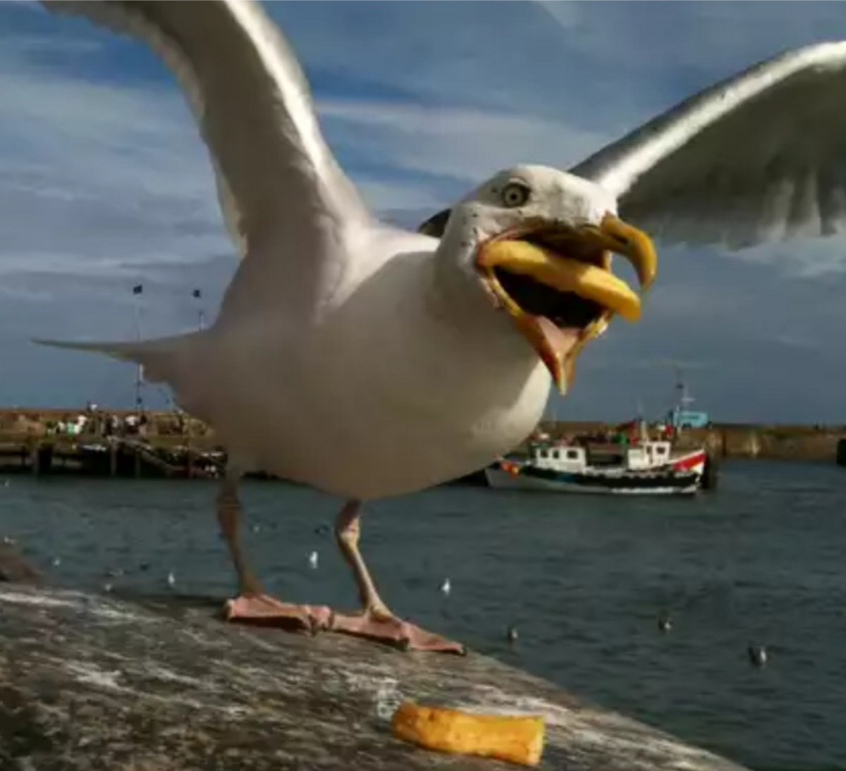 Weapons of Mass Destruction (Demo)