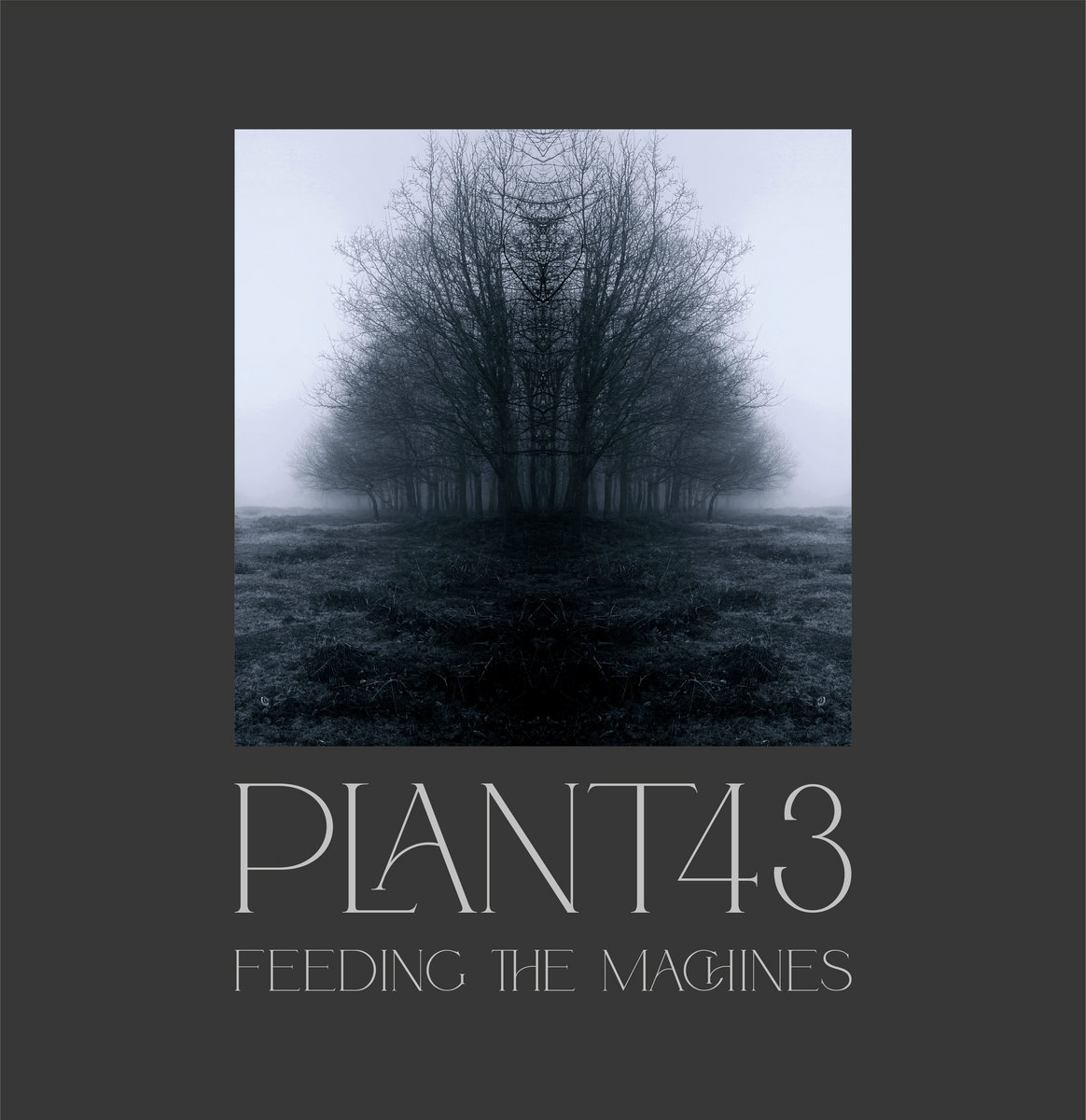 Feeding the Machines