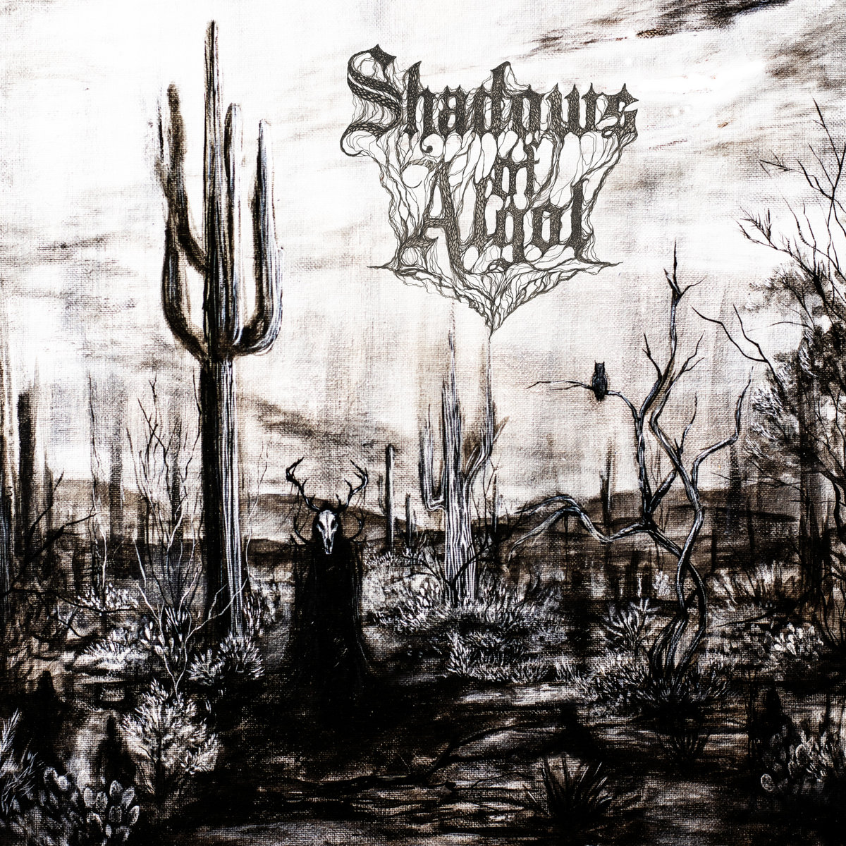 Transformation of the Desert Witch