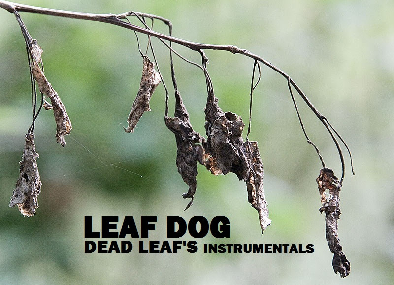 Dead Leaf's (Instrumentals)