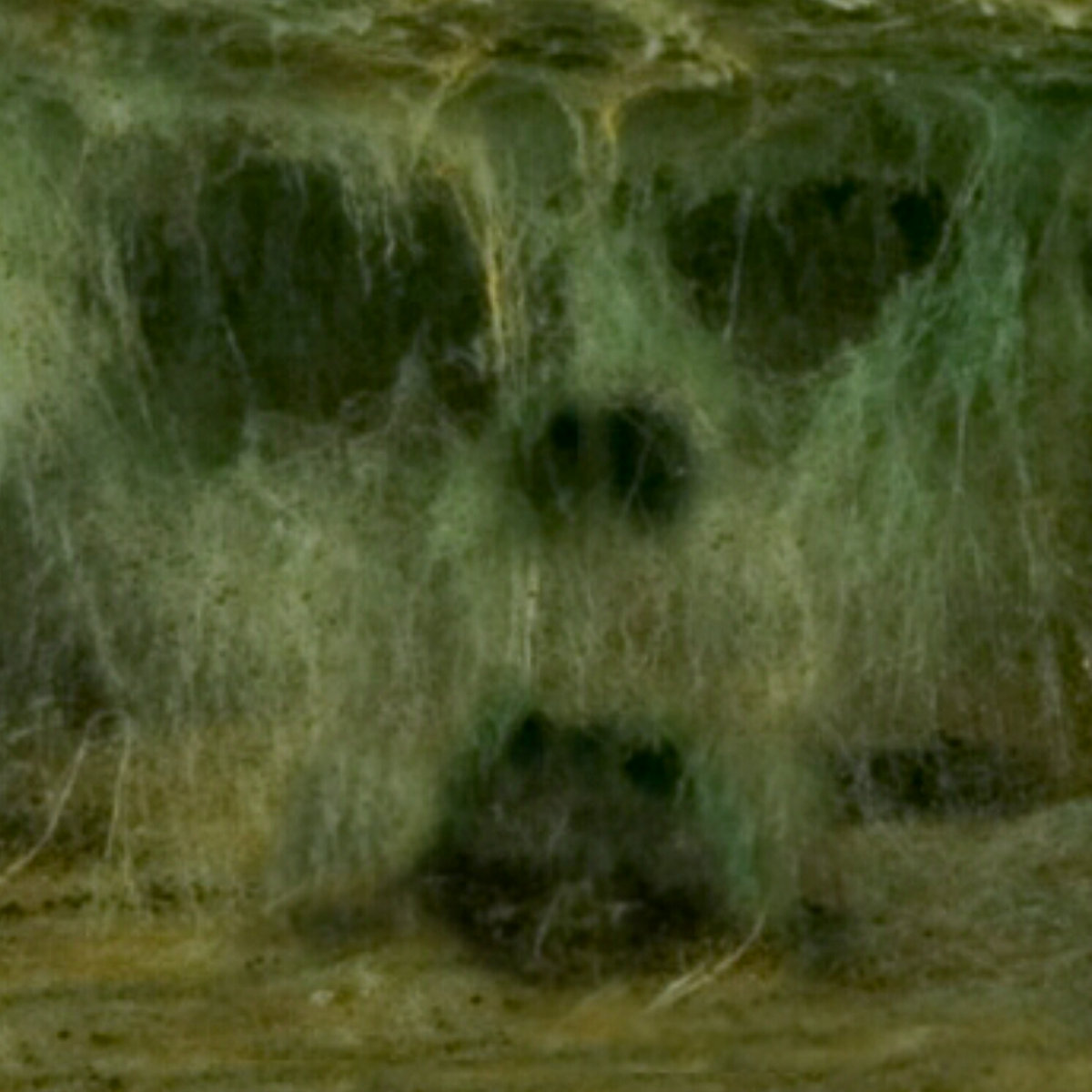 Nothing Grows Here But Stone and Marrow (DEMO)