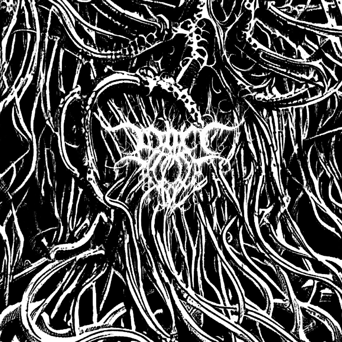 Pale Light and Sunless Waters