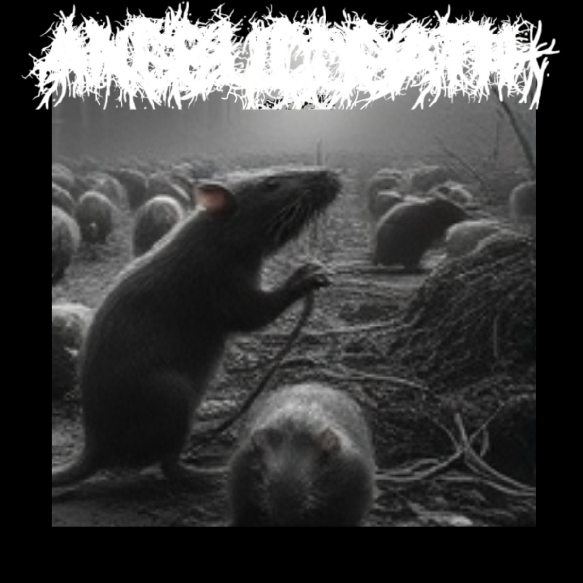 Rats Into Black
