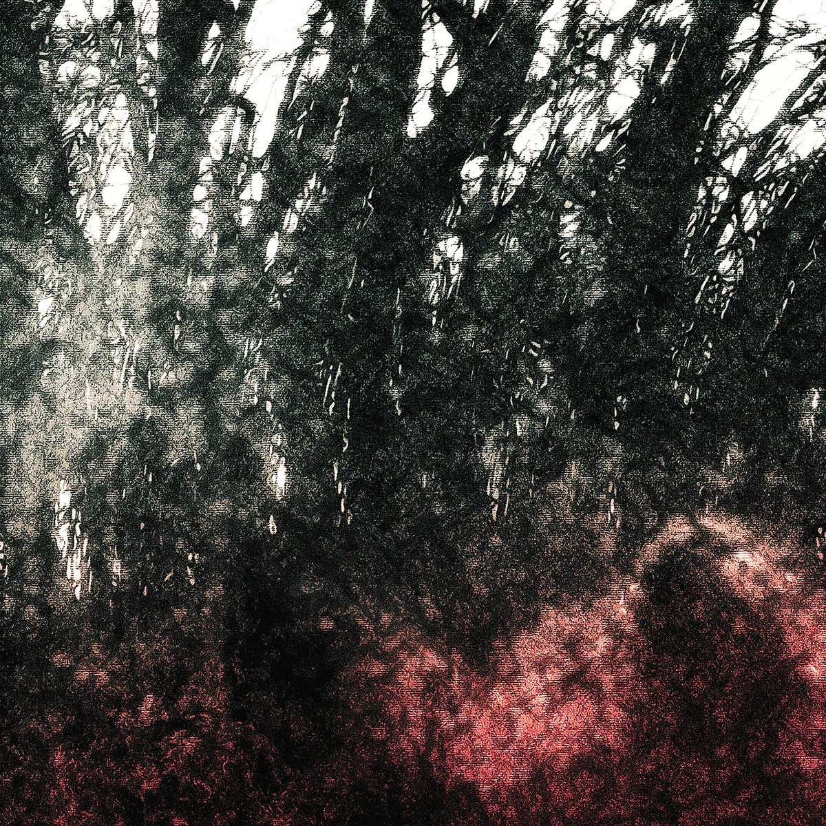 Seeing Through Static - Single