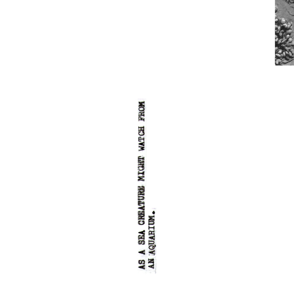 Sea Creature Reworks