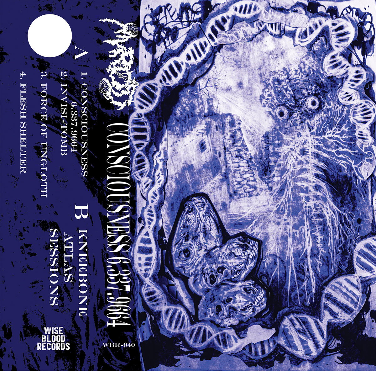 CONSCIOUSNESS 6.337.9664 (EP)