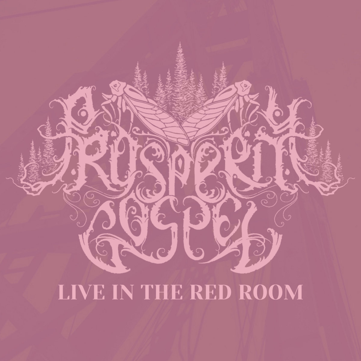 Live in the Red Room