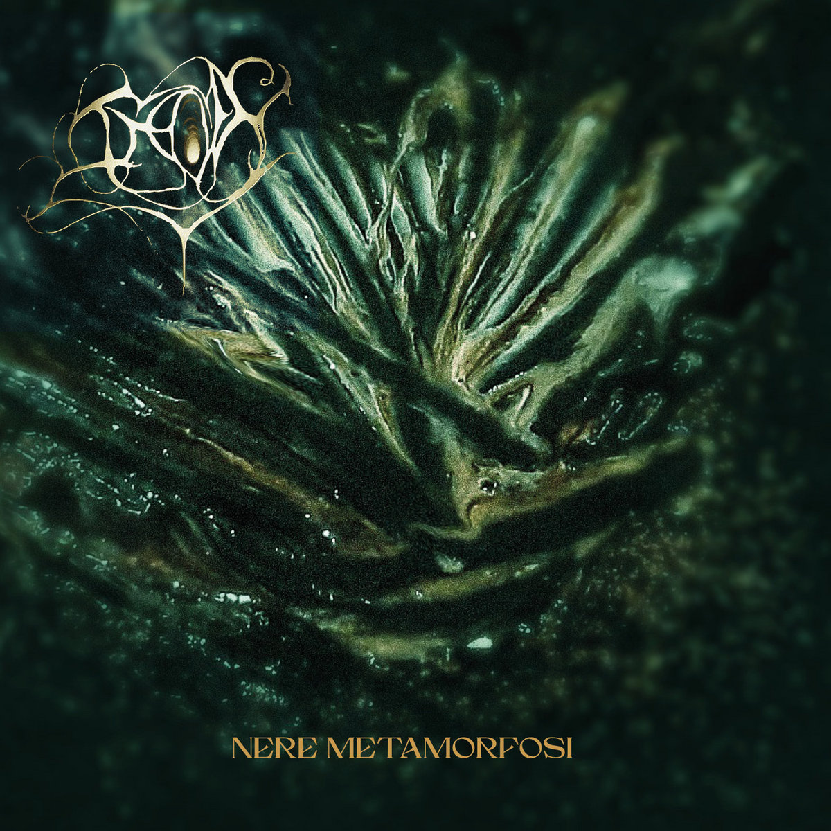 NERE METAMORFOSI